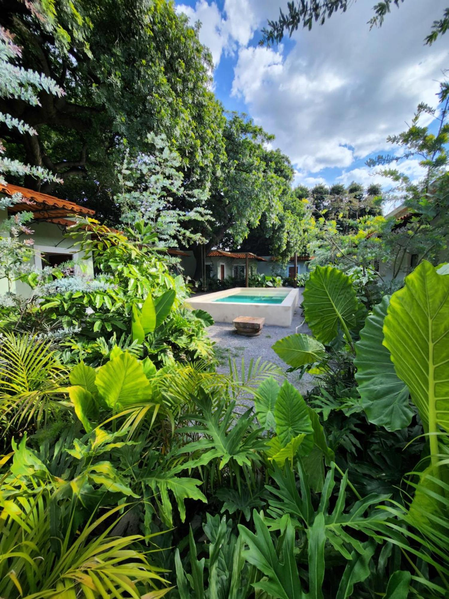 Hotel Boutique Villa Escondida, A Pasos De Lo Mejor En Tlaquepaque Eksteriør bilde