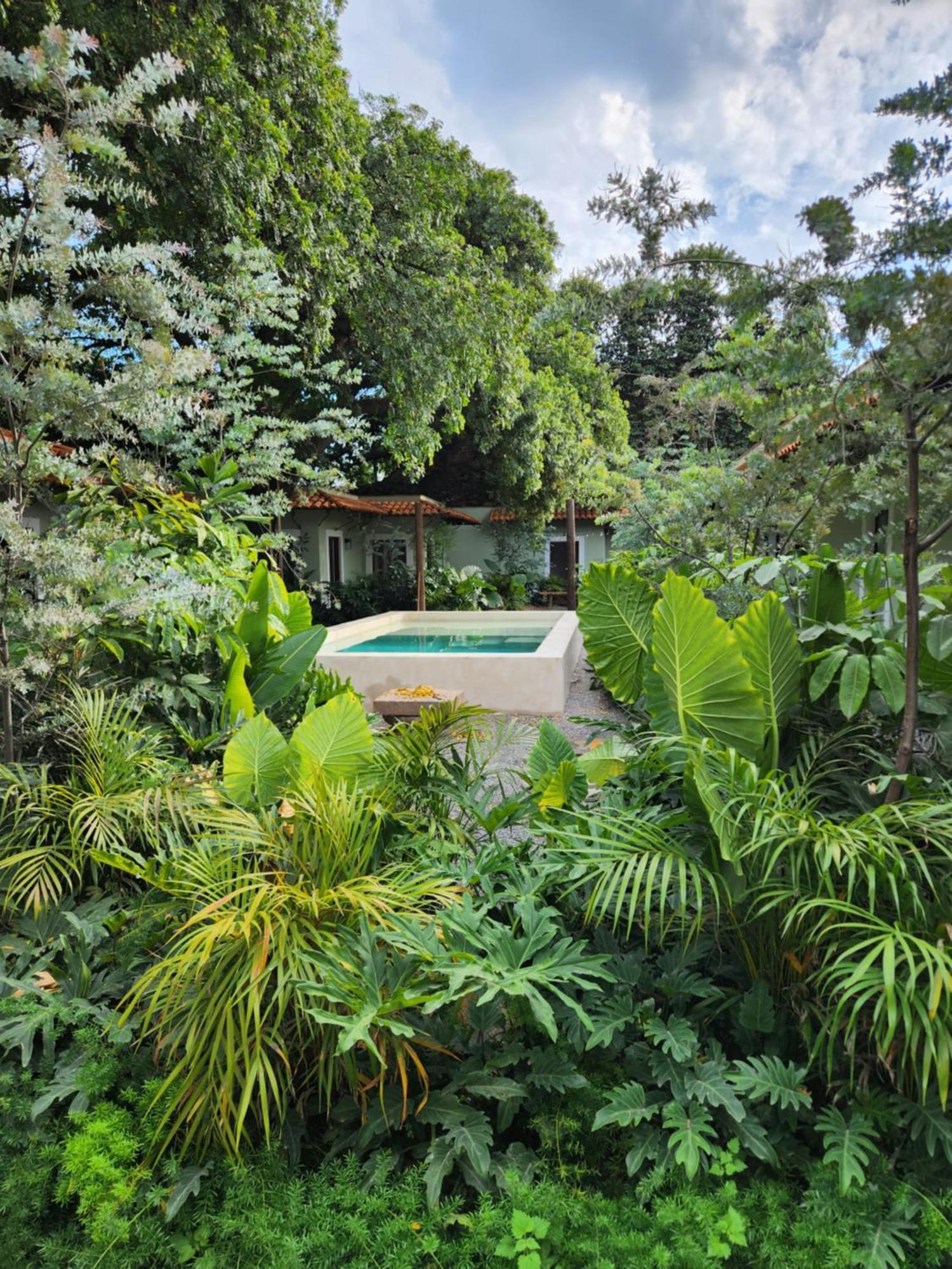 Hotel Boutique Villa Escondida, A Pasos De Lo Mejor En Tlaquepaque Eksteriør bilde